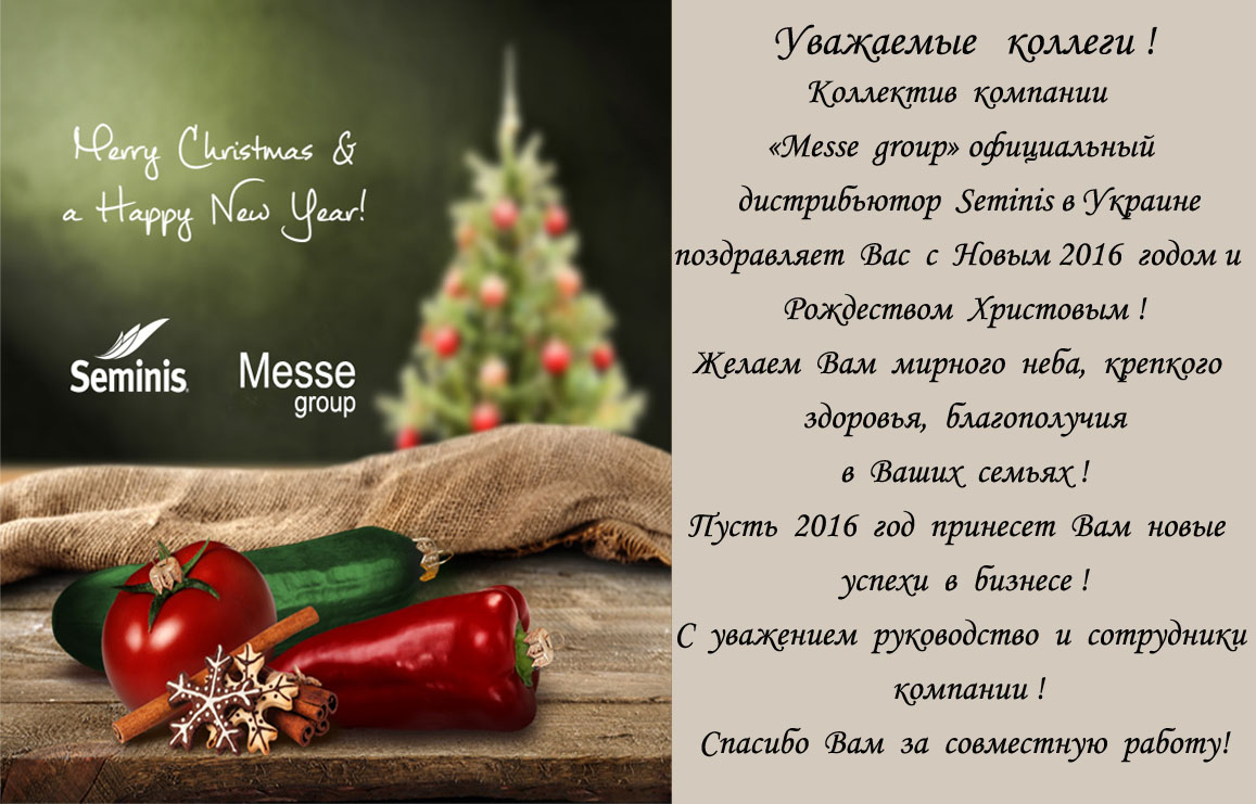hny_2016